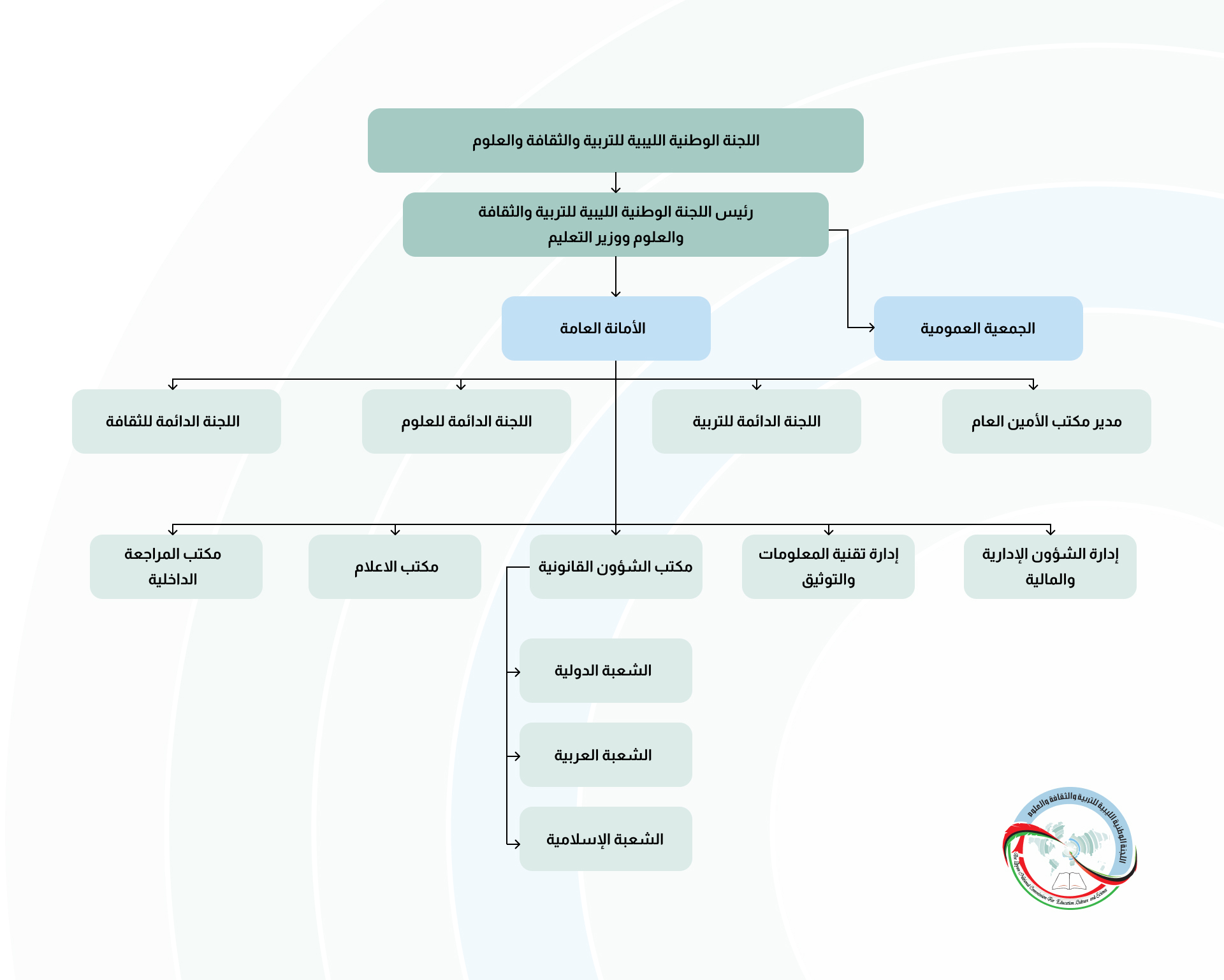 organization straucter